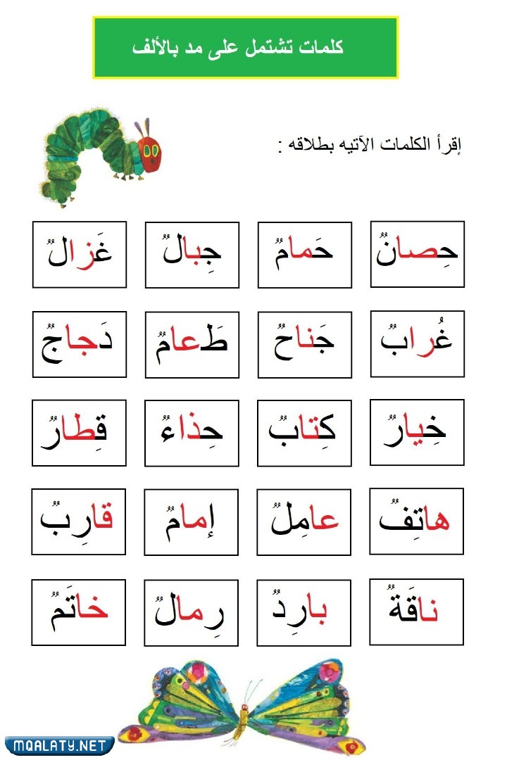 المدّ باللغةِ العربيّة