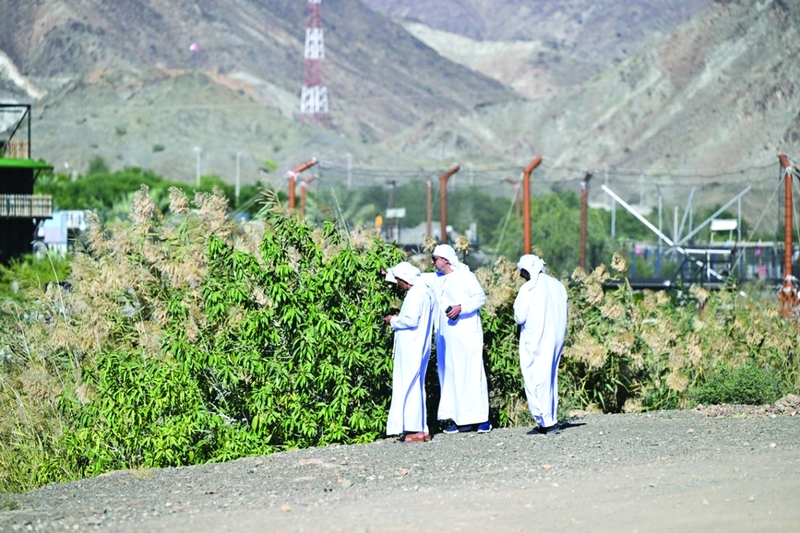 حتا.. رئة الطبيعة