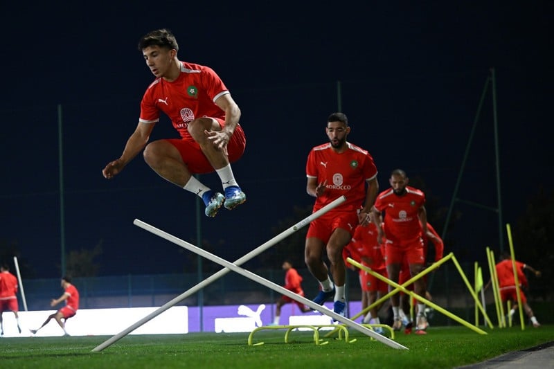 موعد استعدادات “الأسود” لنهائيات “الكان”