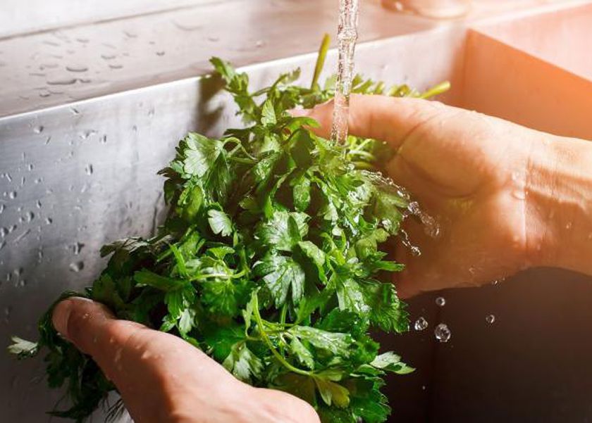 أسهل طريقة لتخزين الشبت والبقدونس والكزبرة.. هيقعدوا معاكي سنة كاملة