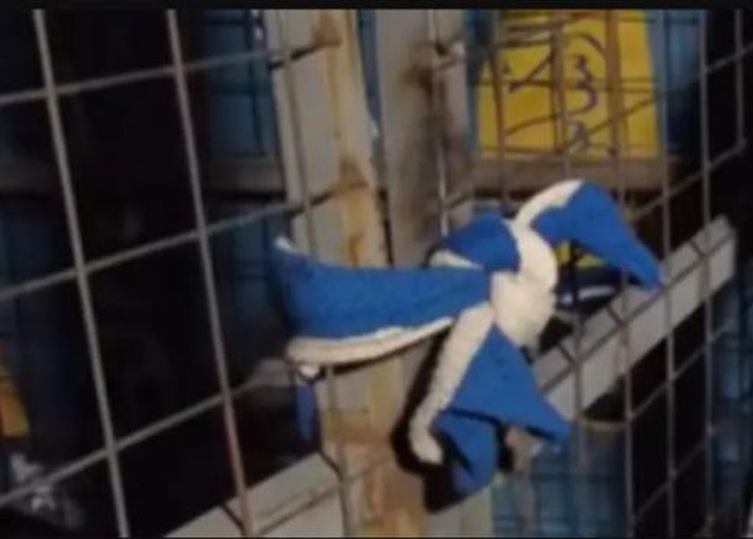 عراقية تترك طفليها داخل قفص في حديقة يصرخان من الجوع.. ما سر تصرفها؟