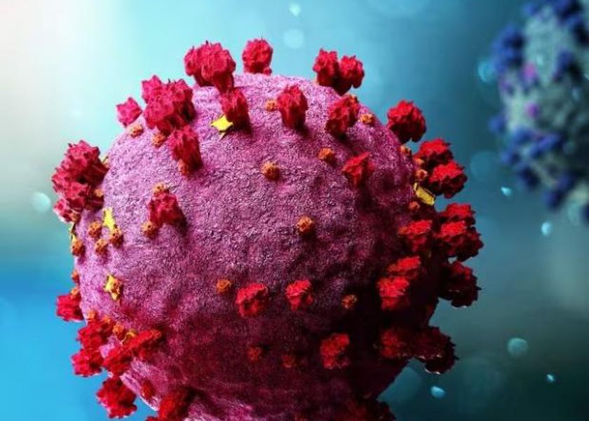 كلمة السيو–ما هو المرض X