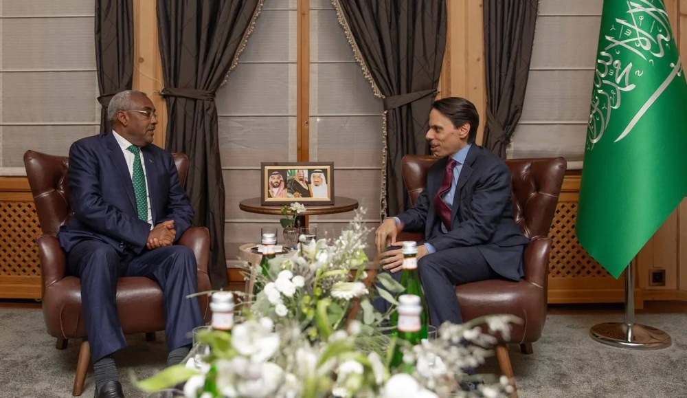 وزير الخارجية يبحث مع نظيره الإثيوبي العلاقات الثنائية والمستجدات