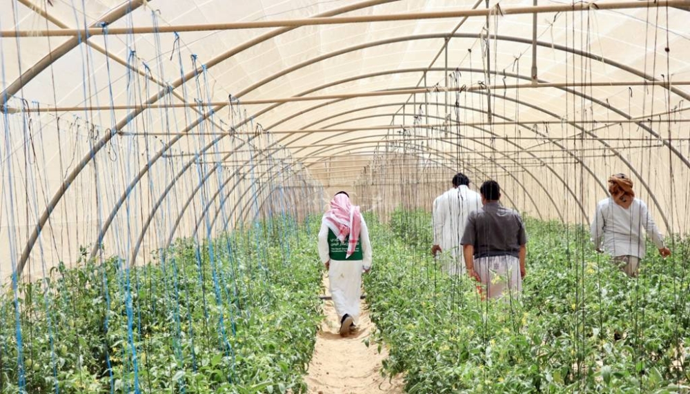 لتنفيذ مشاريع إنمائية.. مذكرة بين «إعمار اليمن» والأمم المتحدة