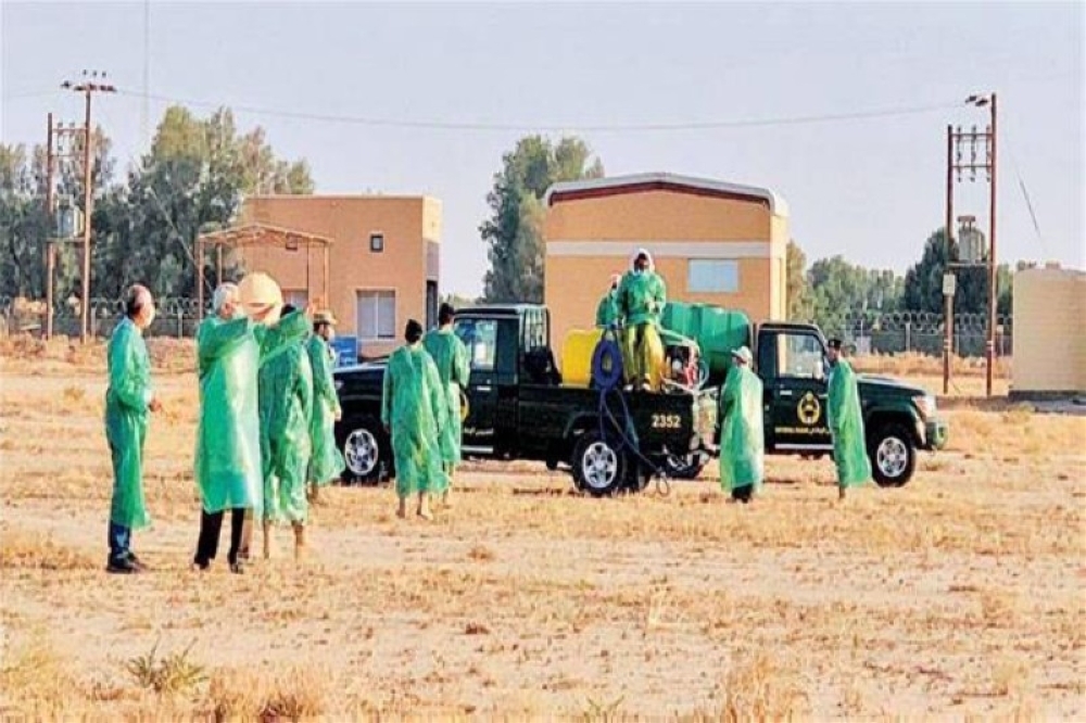 طوارئ مصرية على الحدود مع السودان لمواجهة «الجراد الصحراوي»