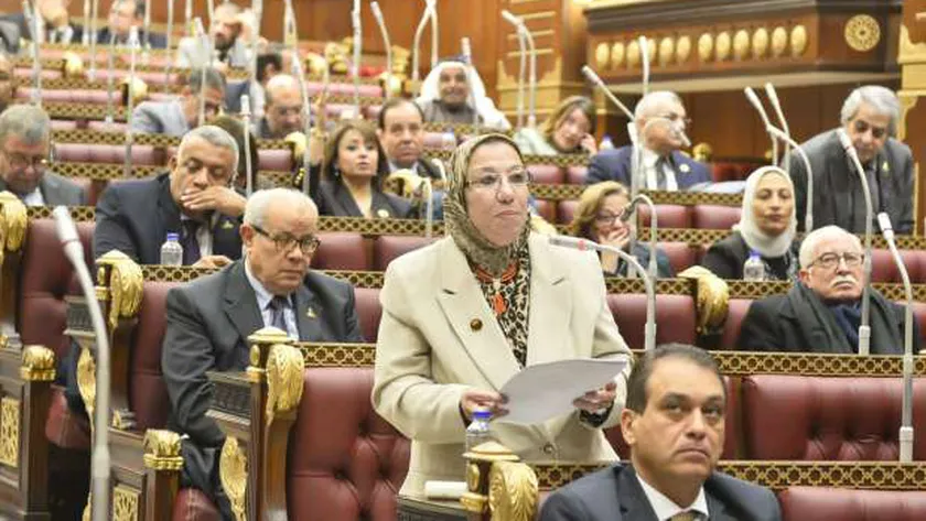 النائبة حياة خطاب: دعوة الرئيس لإجراء حوار اقتصادي بسبب شعوره بالمواطن