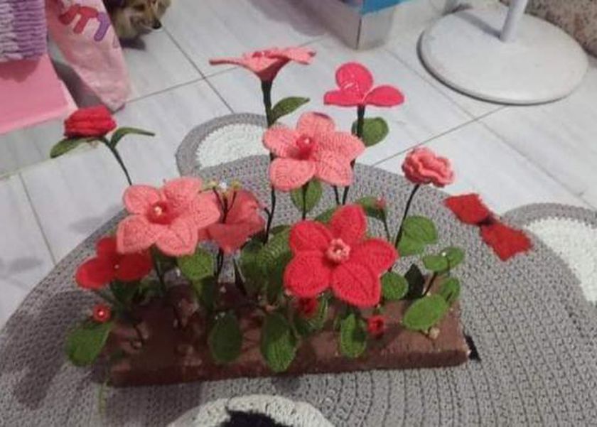 «ورد لا يموت أبدا».. «أمل» درست الهندسة واختارت «الزرع الكروشيه»