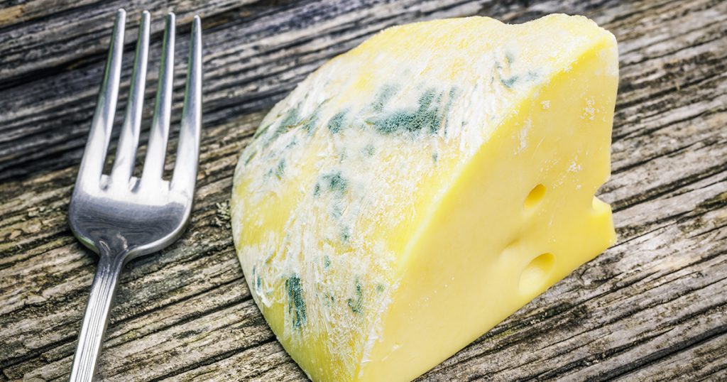 انتبهوا ! العفن لا يعني دائماً أن الأطعمة فسدت