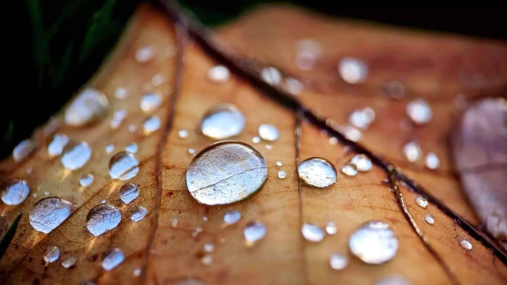 علماء يحوّلون الماء إلى معدن