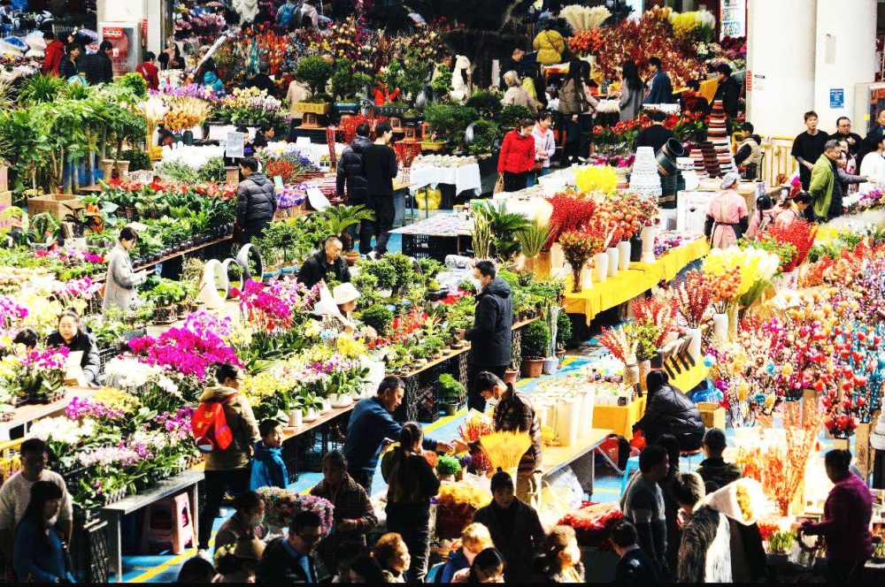 زهور الشتاء