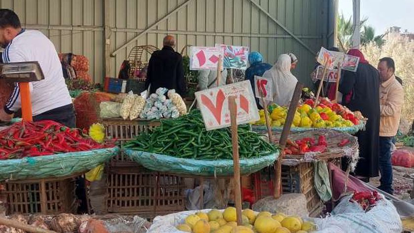 أسعار الخضراوات والفاكهة اليوم في سوق العبور..«الطماطم بـ4 جنيهات»