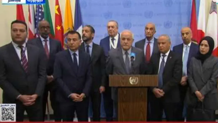 مندوب فلسطين بمجلس الأمن: سنطرق كل الأبواب لإيقاف العدوان على غزة