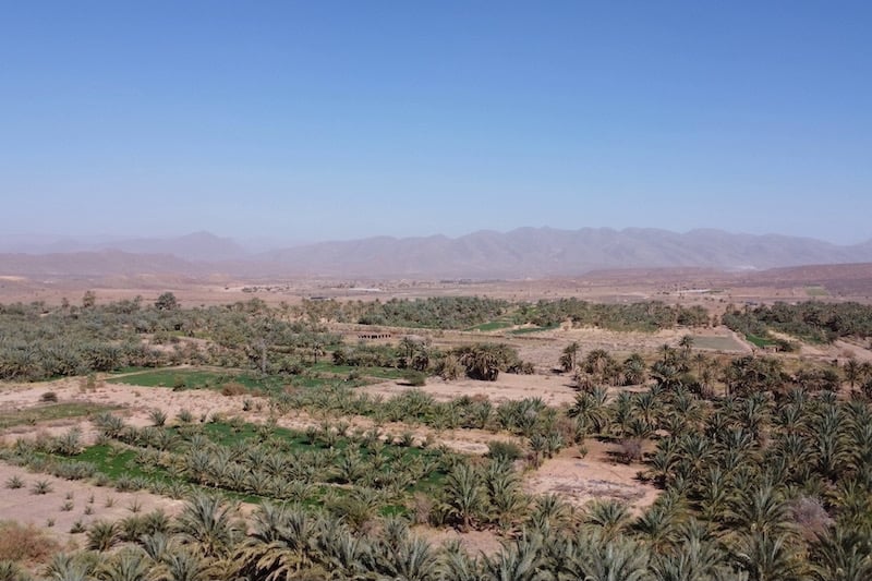 الجفاف يجمد الحياة في مناطق الواحات