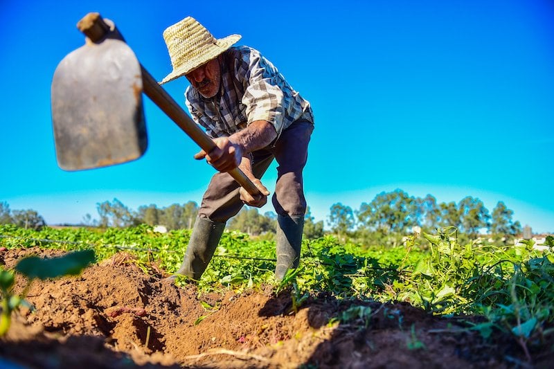 “أمطار وثلوج فبراير” تُنعش نمو الزراعات وتُعيد الاخضرار إلى مراعي المغرب