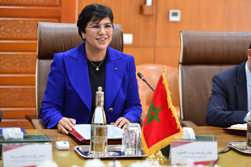 العدوي: التحولات تفرض المردودية على عمل الأجهزة العمومية في المغرب