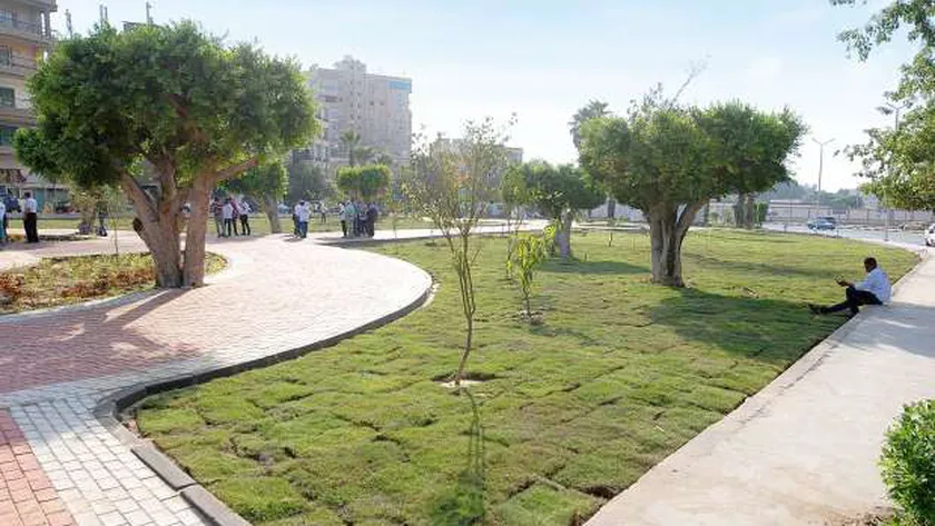 الأشجار والغابات.. فوائد صحية وبيئية واقتصادية