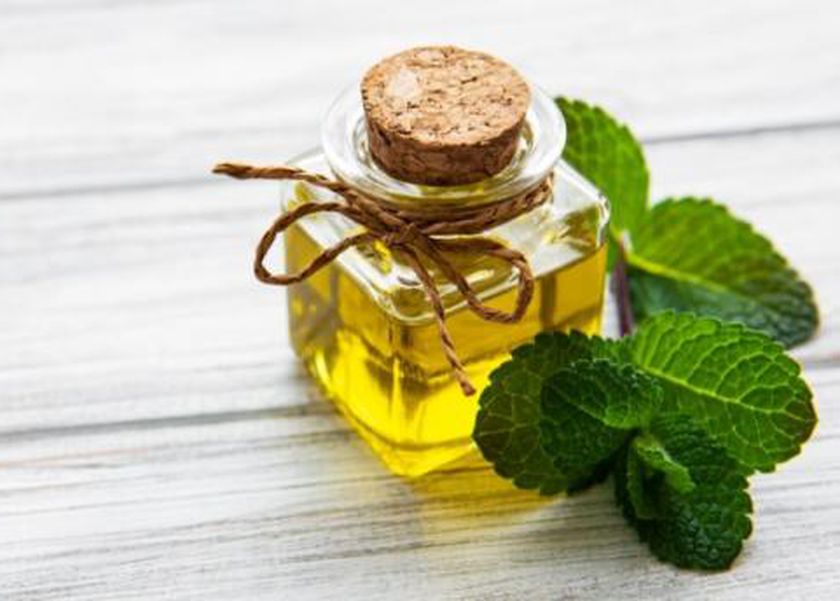 فوائد زيت النعناع.. مهدئ للمعدة ومهم للبشرة والشعر