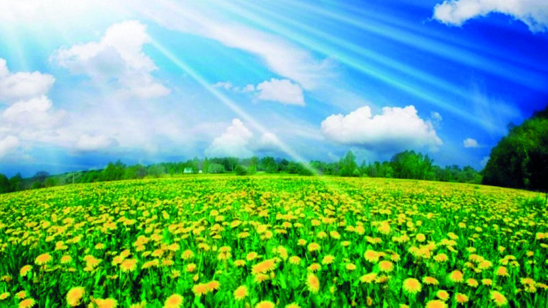 الربيع في الإمارات يبدأ غداً فلكياً