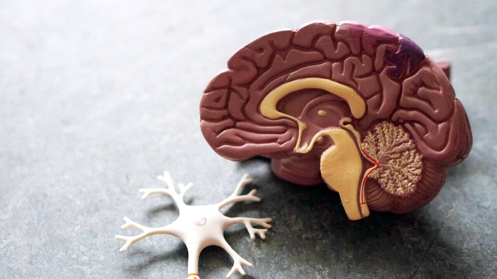 علاج مطور قضى على ورم الدماغ القاتل.. في أيام