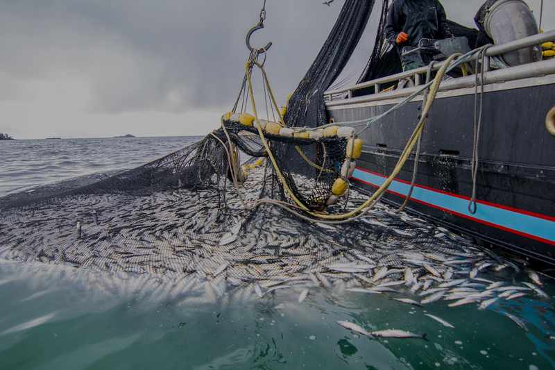وزير الفلاحة الإسباني يؤيد استمرارية “بروتوكول الصيد البحري” مع المغرب