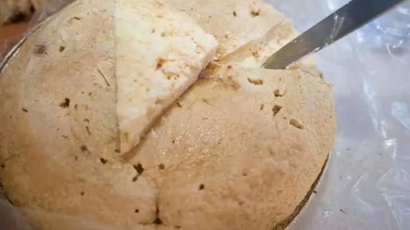 تحذير عاجل من أخطر أنواع الجبن في العالم.. مصنوع بواسطة الديدان ويهدد صحتك