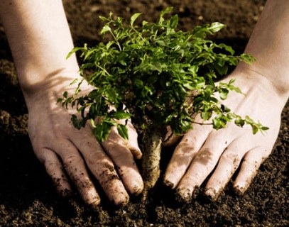 وكالة المياه والغابات تطلق النسخة الثانية من مسابقة لدعم مشاريع الشباب