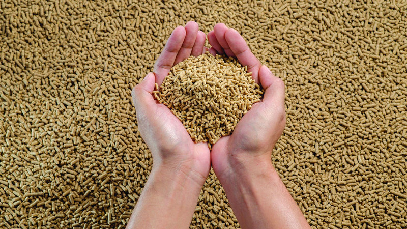 10 شروط لإدراج موردي الأعلاف في «دعم مربي الثروة الحيوانية» بأبوظبي