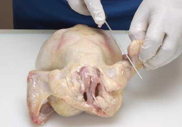 هذا ما يحدث لك إذا تناولت “عظام الدجاج”.. فوائد لا تتوقعها