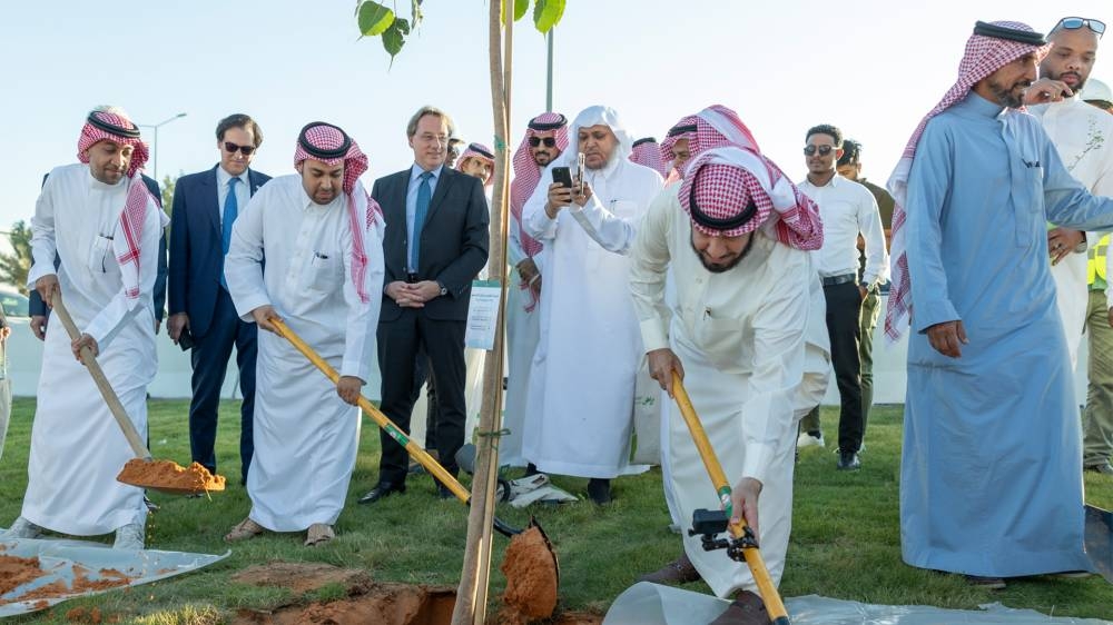 استمراراً لتشجير الأحياء السكنية.. «عرقة» يتزين بـ«الرياض الخضراء»