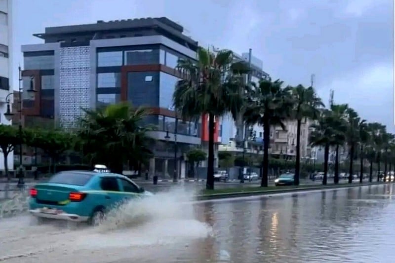 ليموري: طنجة تتصدى لأضرار السيول
