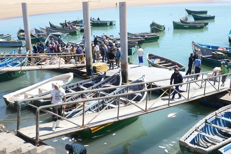 البحارة وأرباب المراكب بميناء العيون يشتكون من قلة الأسماك و”تراكم الديون”