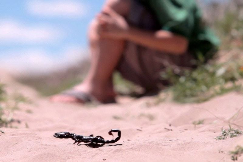 نشطاء الجنوب الشرقي يطالبون بأمصال