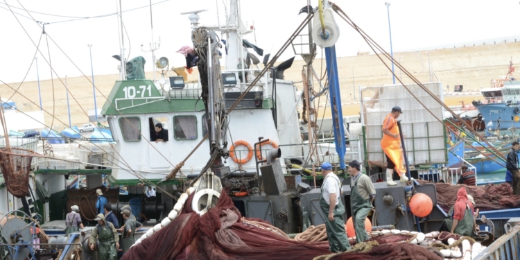 تراجع في منتجات الصيد الساحلي والتقليدي بميناء بوجدور خلال ثلاثة أشهر الأولى من 2024 (تقرير)