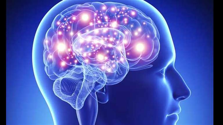 هذا ما يحدث للمخ عند ارتفاع مستويات الكوليسترول في الدم.. مفأجاة