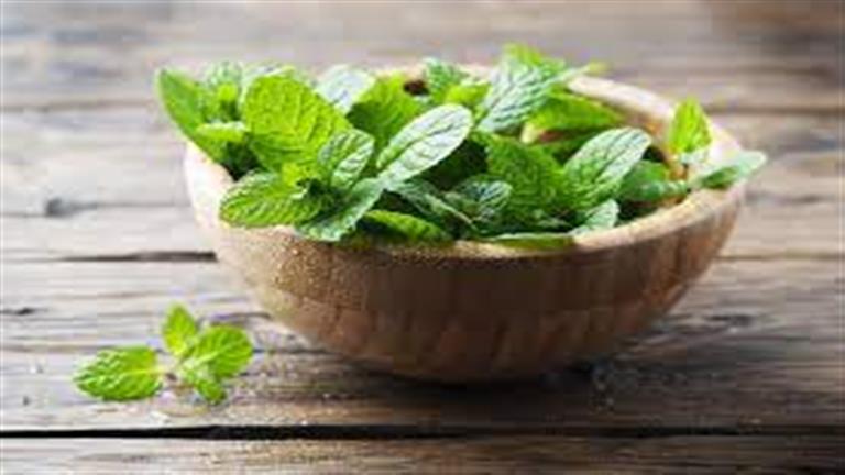 فوائد مذهلة للنعناع بالريحان.. لن تتخيل تأثيره على القلب والكليتين