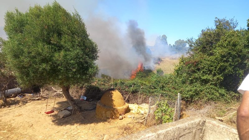 السلطات في طنجة تتمكن من السيطرة على حريق مهول التهم 10 هكتارات من الأعشاب والأشجار + صور