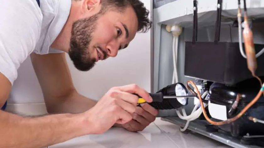 جهاز كهربائي مسؤول عن انتشار الناموس والحشرات بمنزلك.. احذر هذه العادة