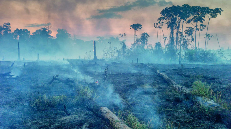 انبعاثات الميثان تدفع الأمازون نحو كارثة بيئية