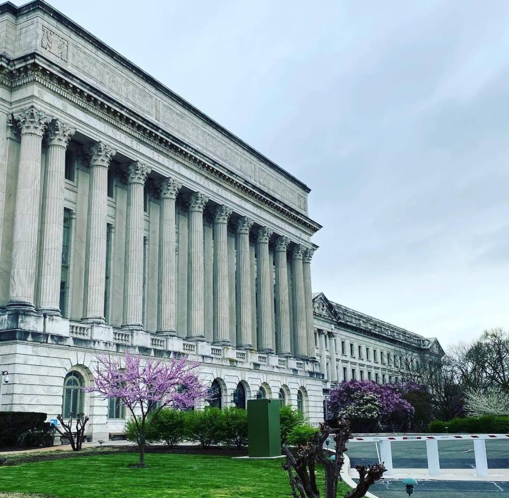 أمريكا: واردات الأفوكادو تتجاوز الصادرات لأول مرة في التاريخ