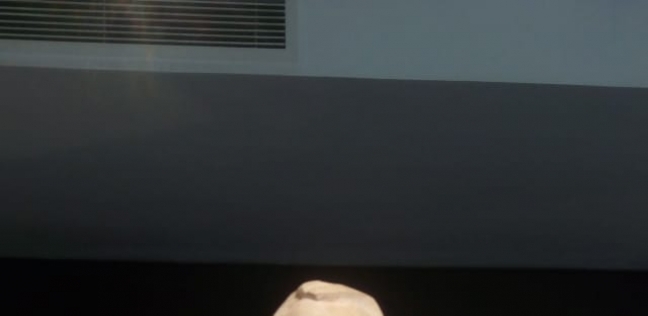 في ذكرى وفاته الـ54.. متحف «عبد الناصر» شاهد على جزء من تاريخ مصر الحديث