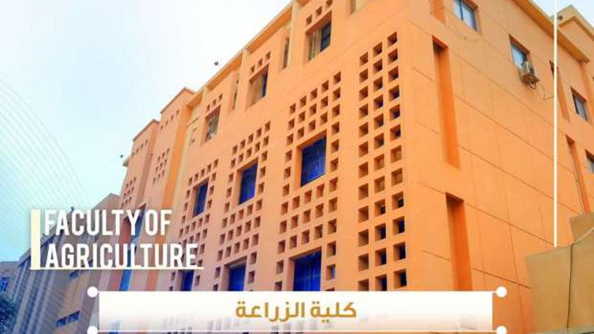 رابط نتيجة تنسيق الدبلومات الفنية 2024.. زراعي وتجاري وصناعي في 27 محافظة