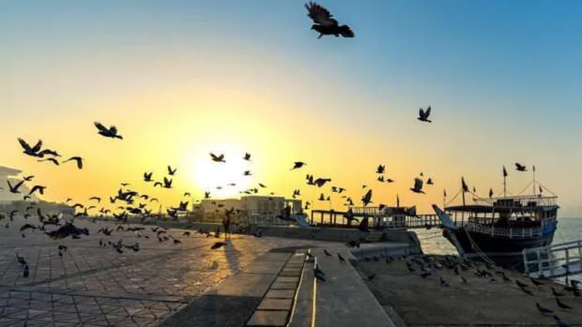 ظاهرة جوية تضرب المحافظات خلال الـ72 ساعة المقبلة.. العظمى بالقاهرة 33 درجة
