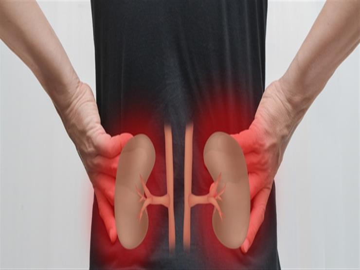 انتبه.. 3 علامات تدل على أن “كليتك” في خطر