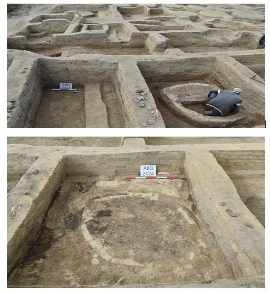 مصر: كشف فرعوني جديد في «حوش عيسى»