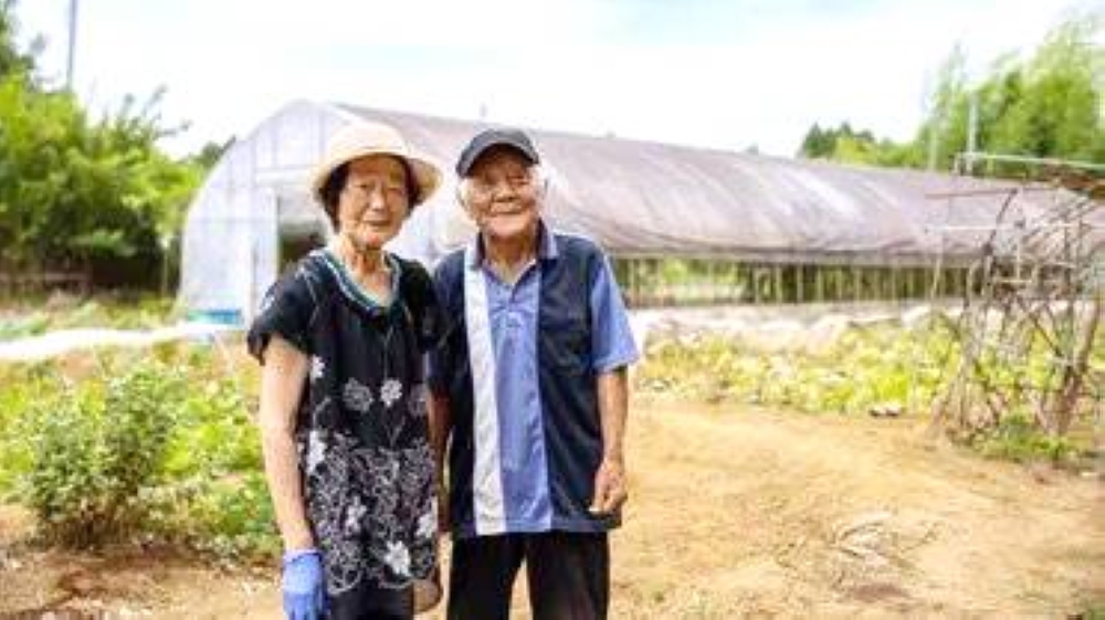 95 ألف معمر .. اليابان تحطم الرقم القياسي في طول العمر!