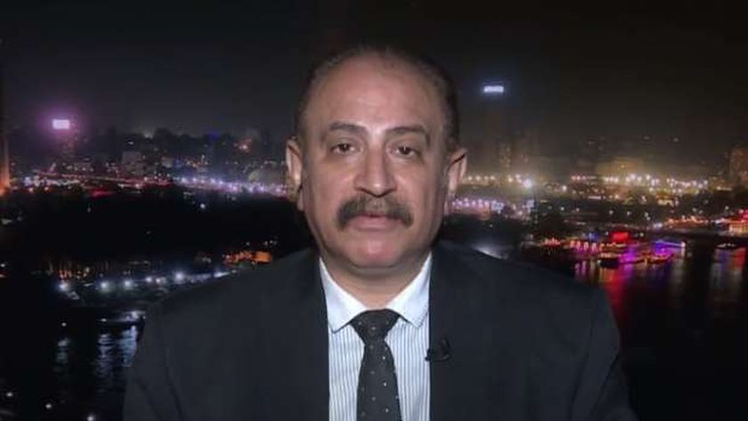 أستاذ في العلوم السياسية: مصر تقف حائط صد ضد المخططات الإسرائيلية