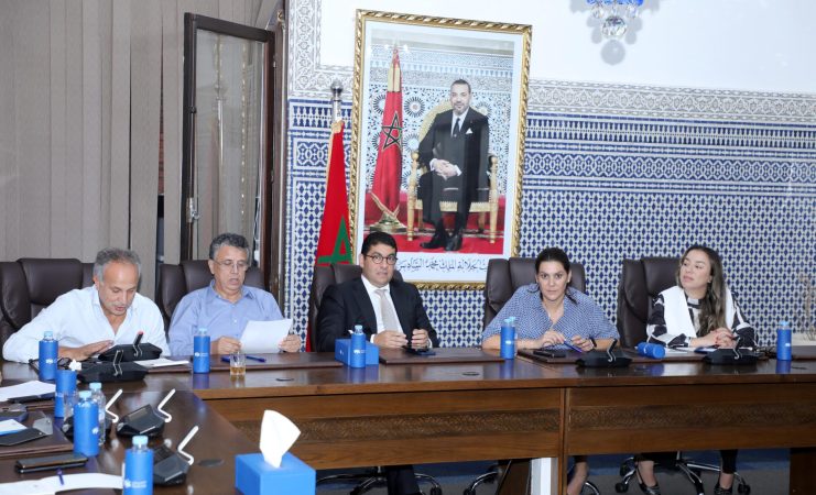 أزمة أبو الغالي تفتح طريق عودة الحموتي والمحرشي إلى قيادة « البام »… وكذلك وهبي