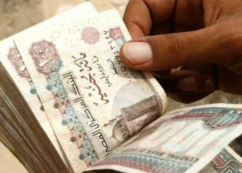 مشروع مربح للسيدات بتكلفة بربح شهري 7 آلاف جنيه.. «خطوات بسيطة»