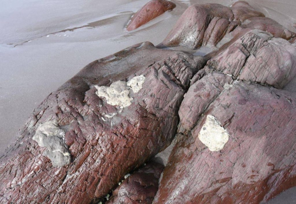 «كتل غامضة» على الشواطئ الكندية تحيّر السكان والعلماء