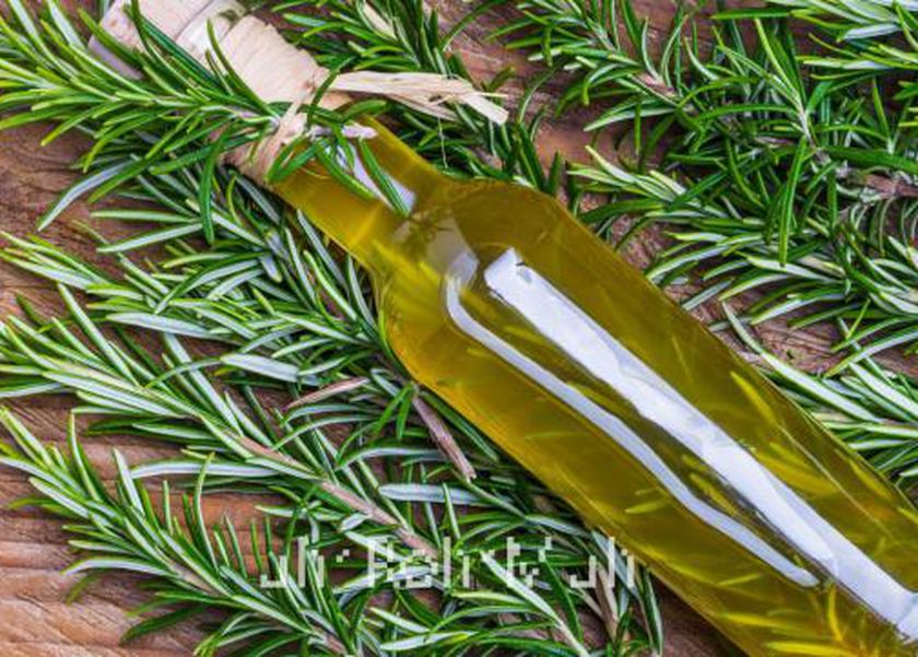 ماذا يحدث عند وضع إكليل الجبل على البشرة؟.. لن تصدق النتائج